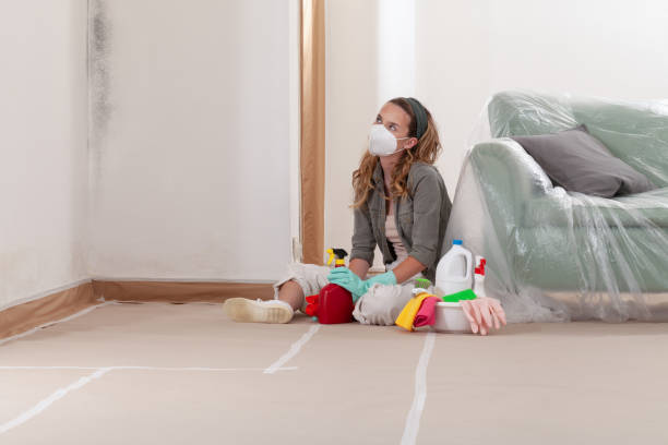 Trusted Mold Removal service in Issaquah, WA - WQB Mold Removal